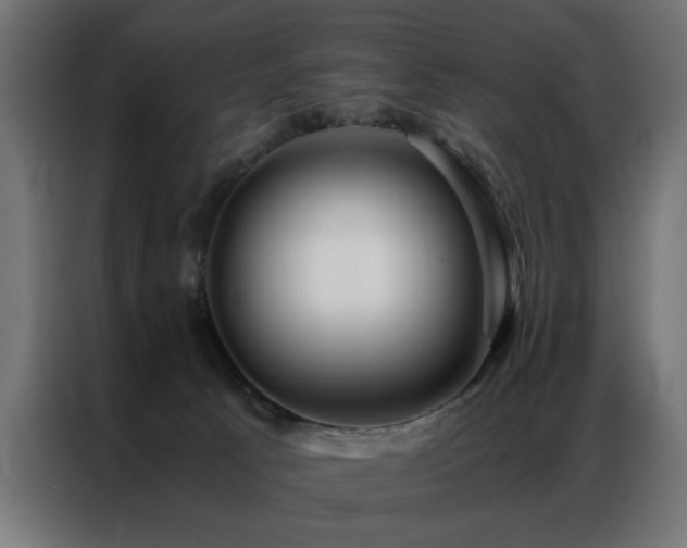 X0000086990033200704161514