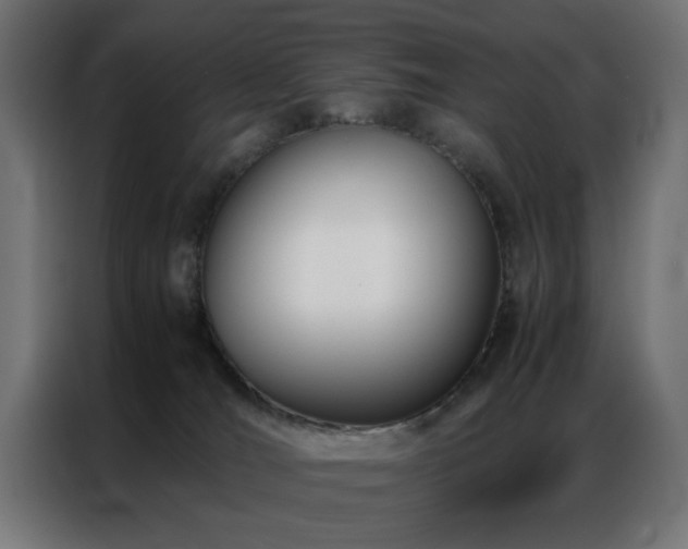 X0000086990036200704161514