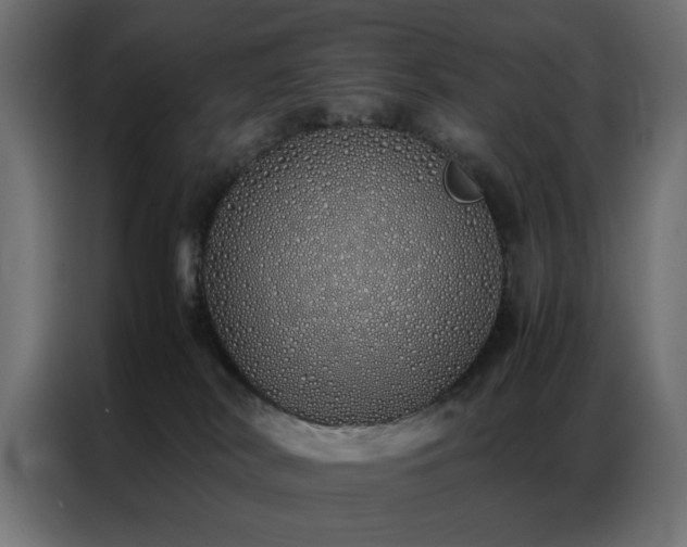 X0000086990038200704161514