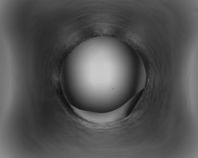 X0000086990040200704161514