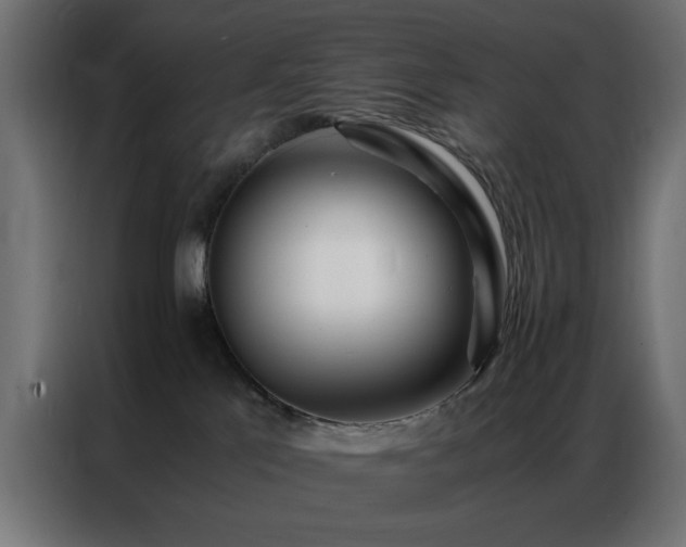 X0000086990041200704161514