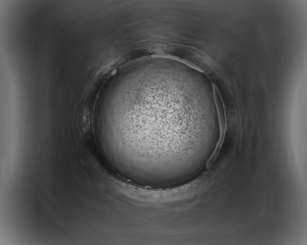 X0000086990043200704161514