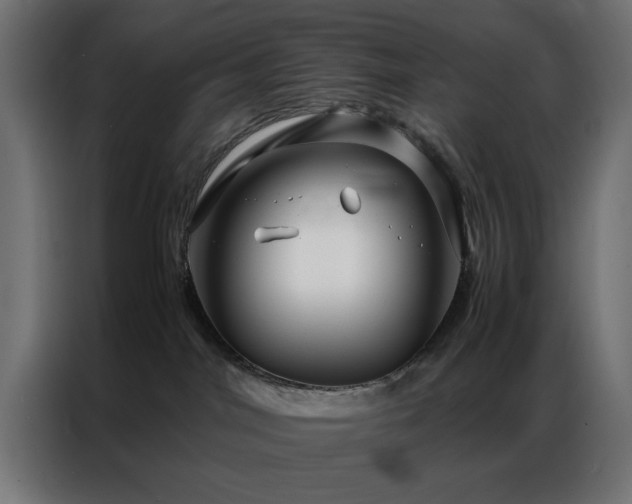 X0000086990044200704161514