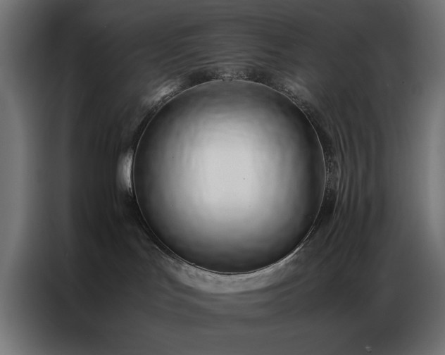 X0000086990047200704161514