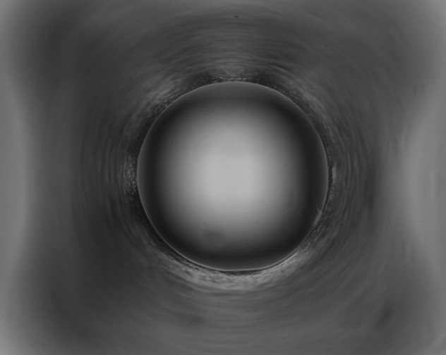 X0000086990048200704161514