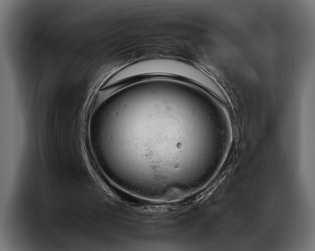 X0000086990049200704161513