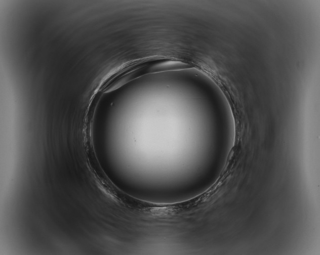 X0000086990050200704161513