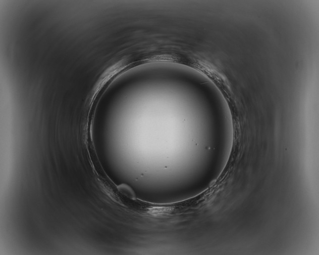 X0000086990051200704161513