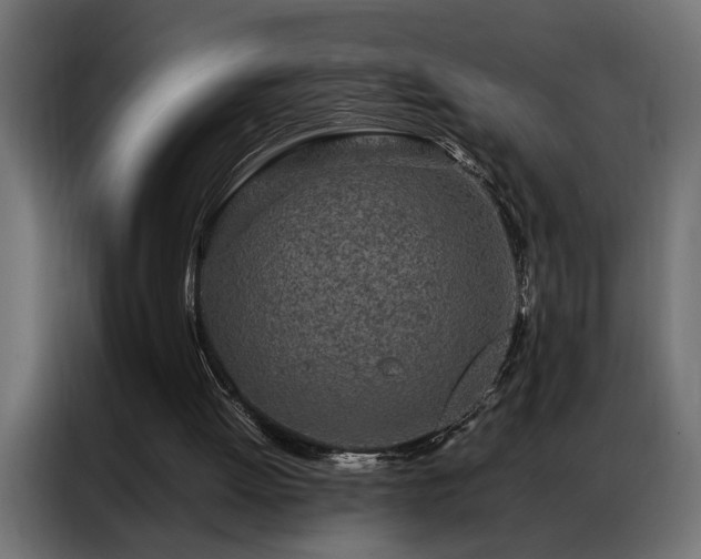 X0000086990052200704161513