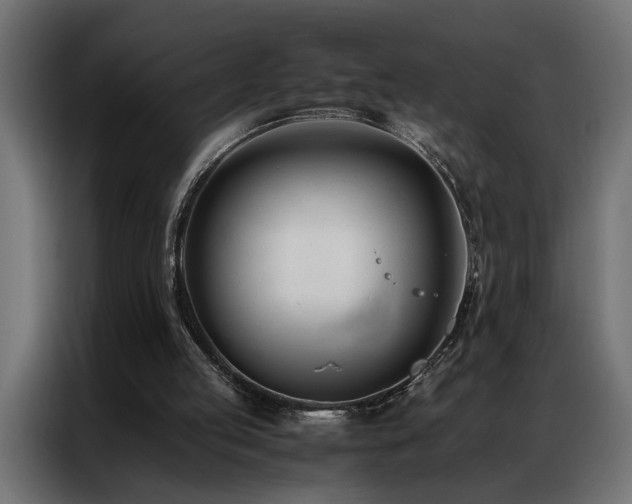 X0000086990053200704161513