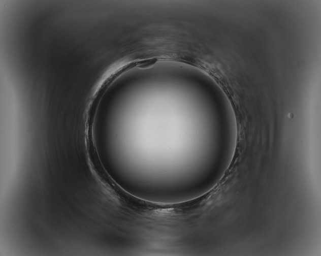 X0000086990054200704161513