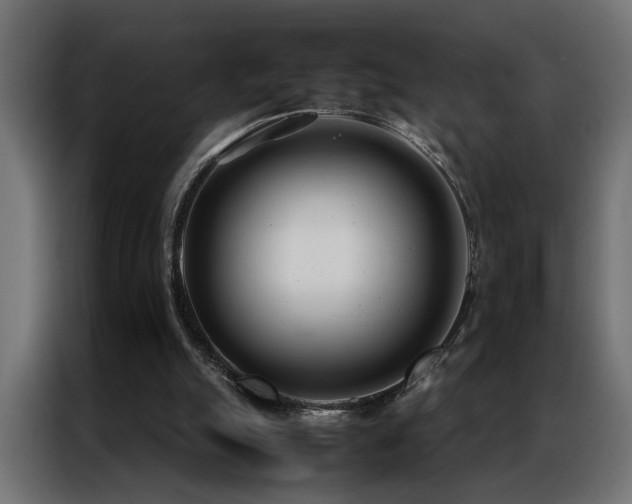 X0000086990055200704161513