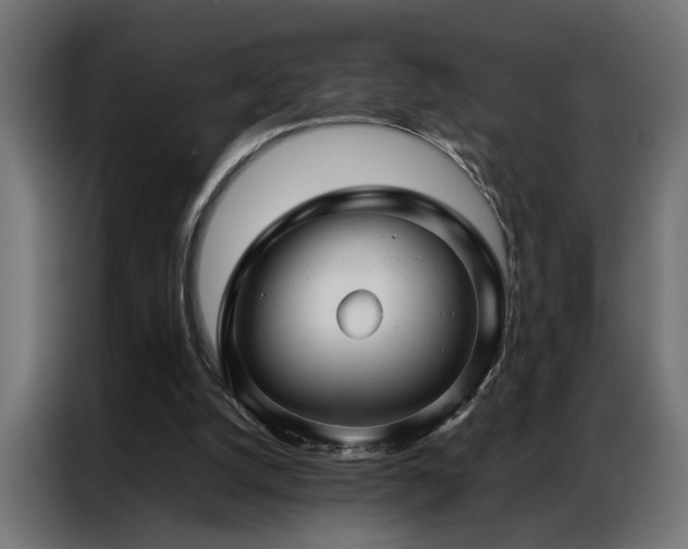 X0000086990056200704161513