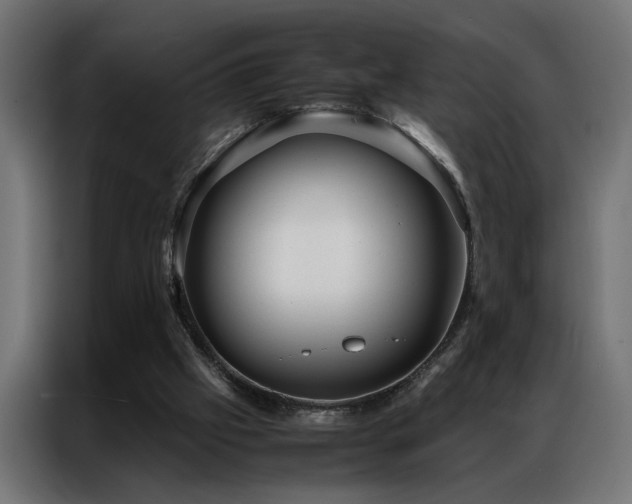 X0000086990057200704161513