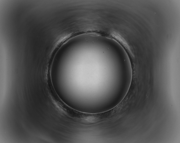 X0000086990058200704161513