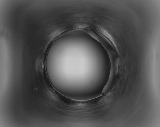 X0000086990059200704161513