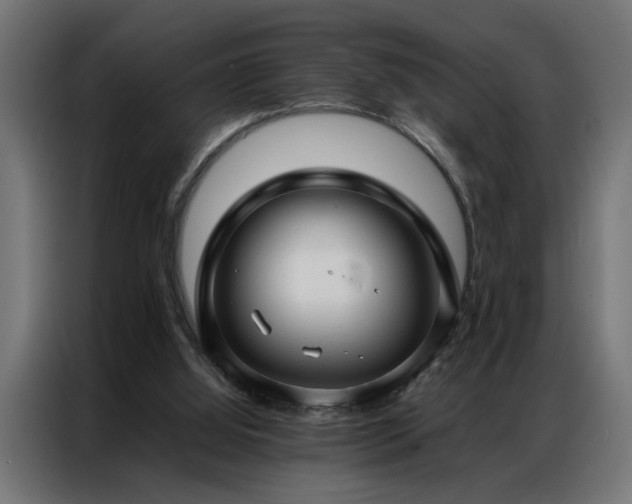 X0000086990060200704161513