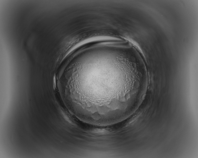 X0000086990061200704161513