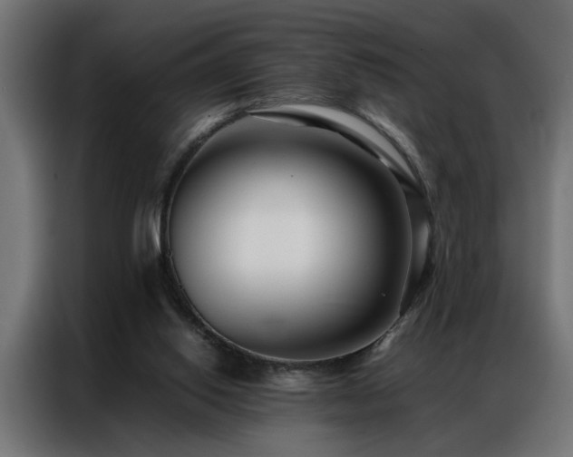 X0000086990062200704161513