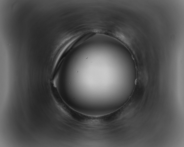 X0000086990063200704161513