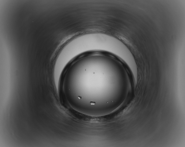 X0000086990064200704161513