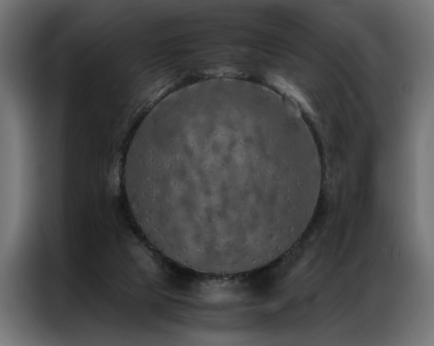 X0000086990065200704161513