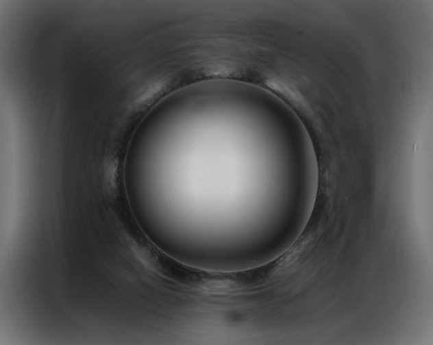 X0000086990066200704161513