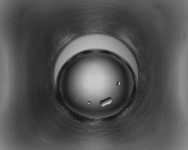 X0000086990068200704161513