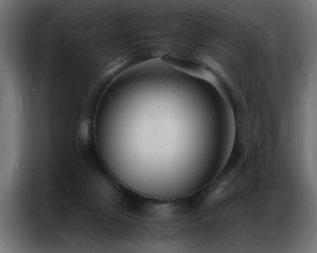 X0000086990071200704161513