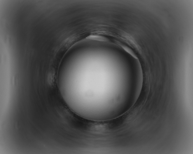 X0000086990073200704161513