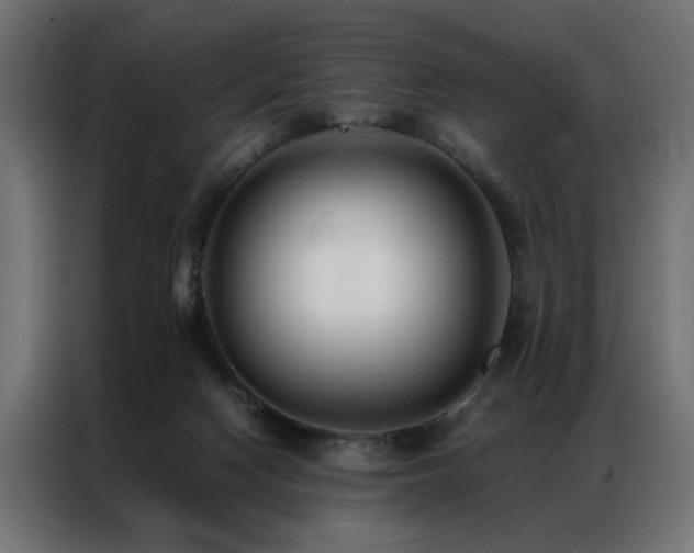 X0000086990074200704161513