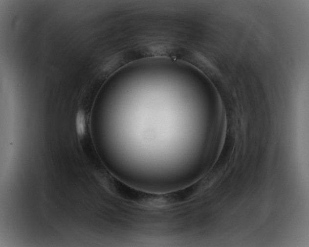 X0000086990075200704161513