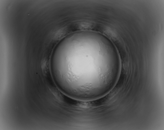 X0000086990079200704161513