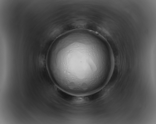 X0000086990083200704161513