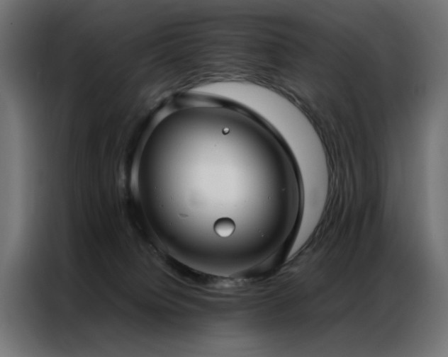 X0000086990084200704161513