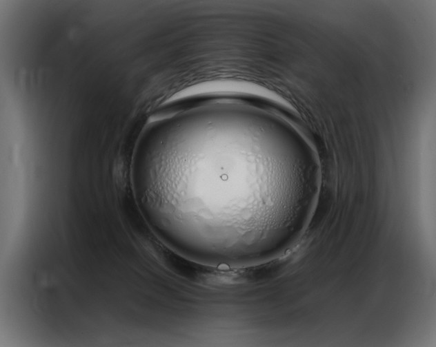 X0000086990086200704161513