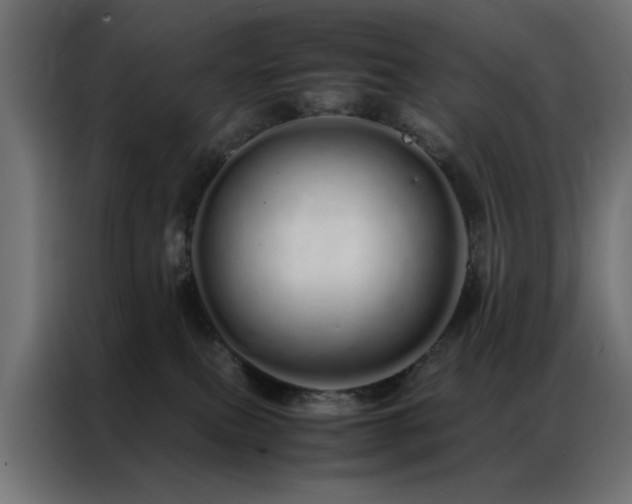 X0000086990087200704161513