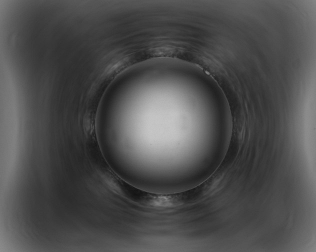 X0000086990091200704161513