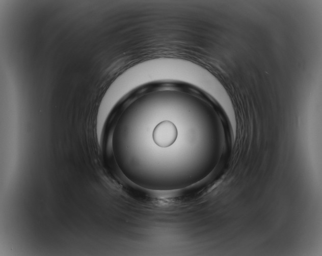 X0000086990092200704161513