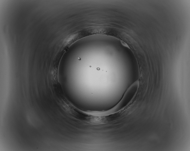 X0000086990096200704161514