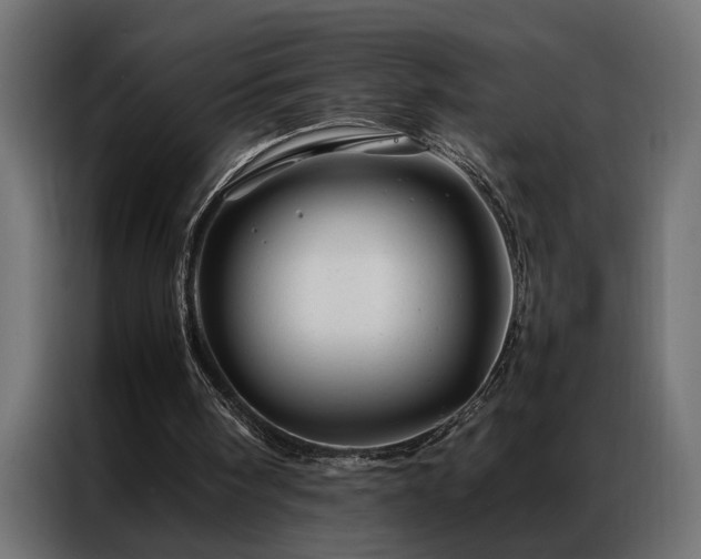 X0000086990098200704161513