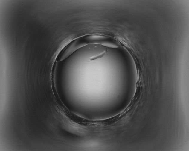 X0000086990099200704161513