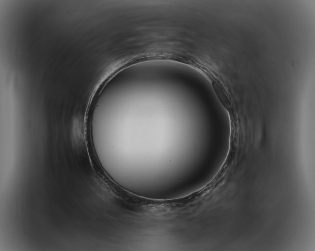 X0000086990100200704161513