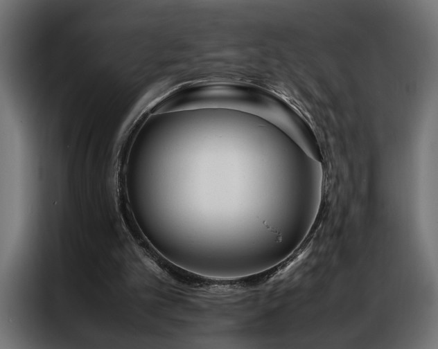 X0000086990101200704161513