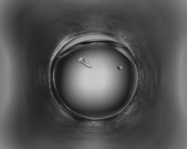 X0000086990102200704161513