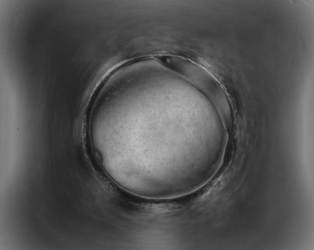 X0000086990103200704161513