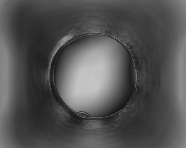 X0000086990104200704161513