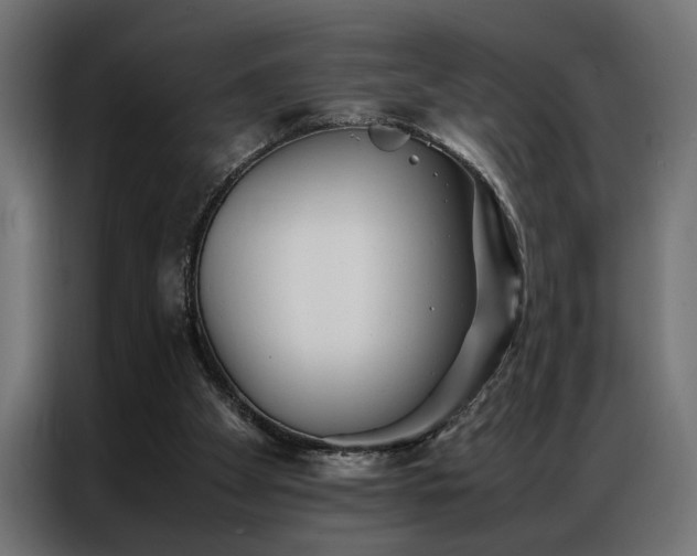 X0000086990105200704161513