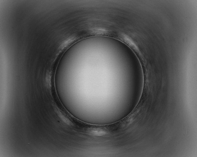 X0000086990106200704161513