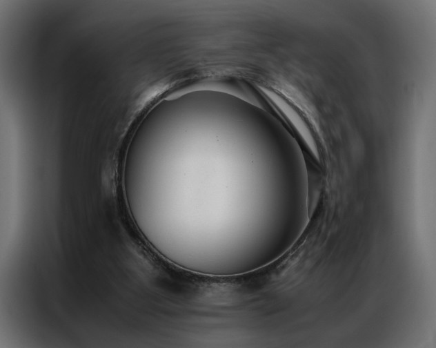 X0000086990107200704161513